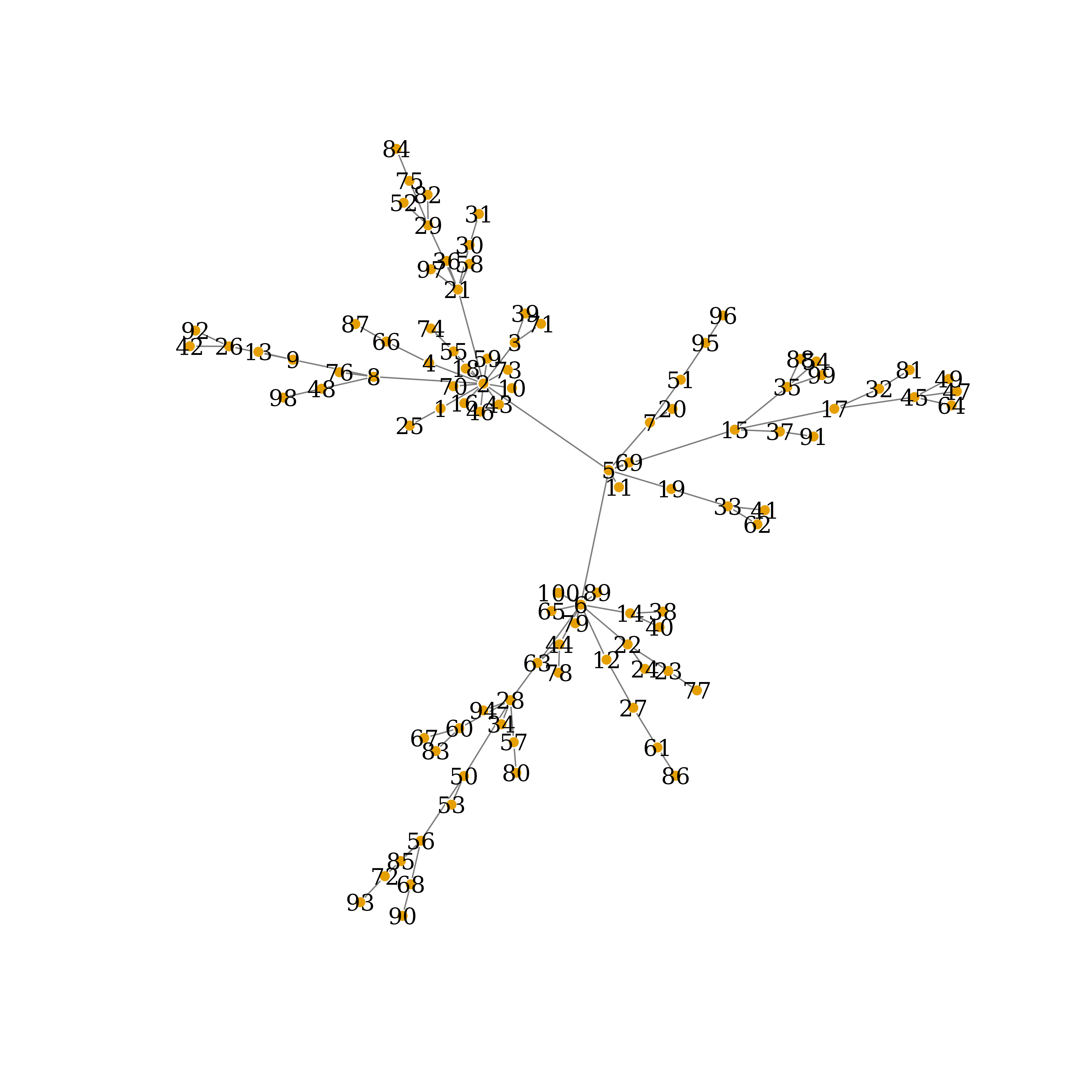 True Network Connections, auto-layout